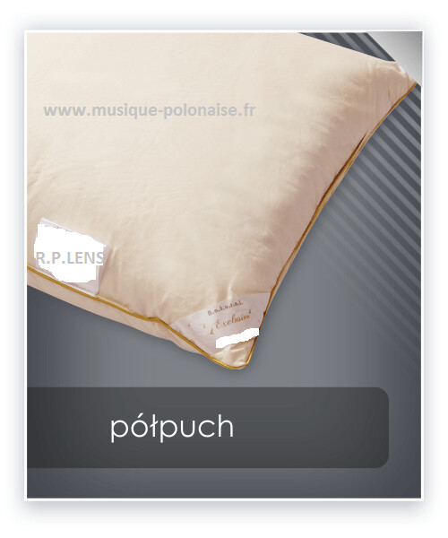 OREILLER 50x70 en Plume et Duvet OIE