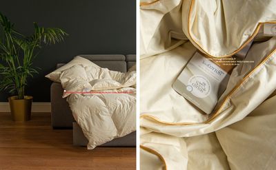 COUETTE 220x200 en duvet Oie 2500gr.