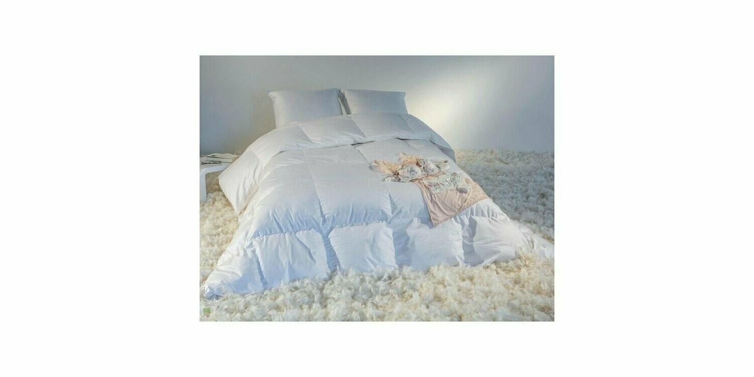COUETTE 160x200 en DUVET OIE 1600gr.
