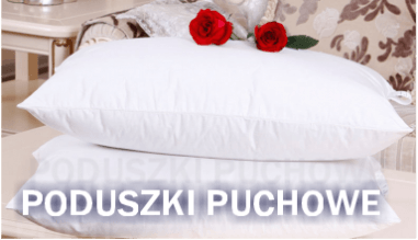 OREILLER en DUVET OIE 100% 65x65