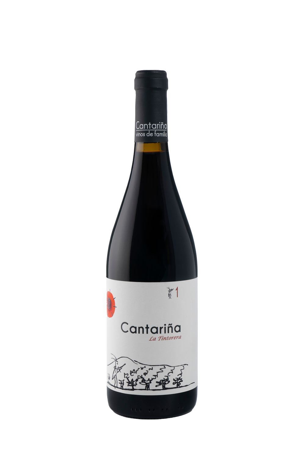 Cantariña 1 La Tintorera 2019