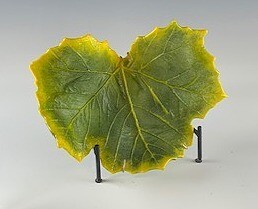 Cast Glass Sycamore Leaf  - Medium