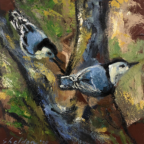 Nuthatches