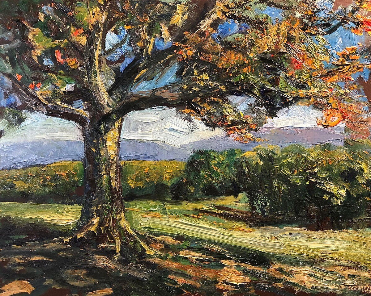 Oak Tree On A Hill In Autumn