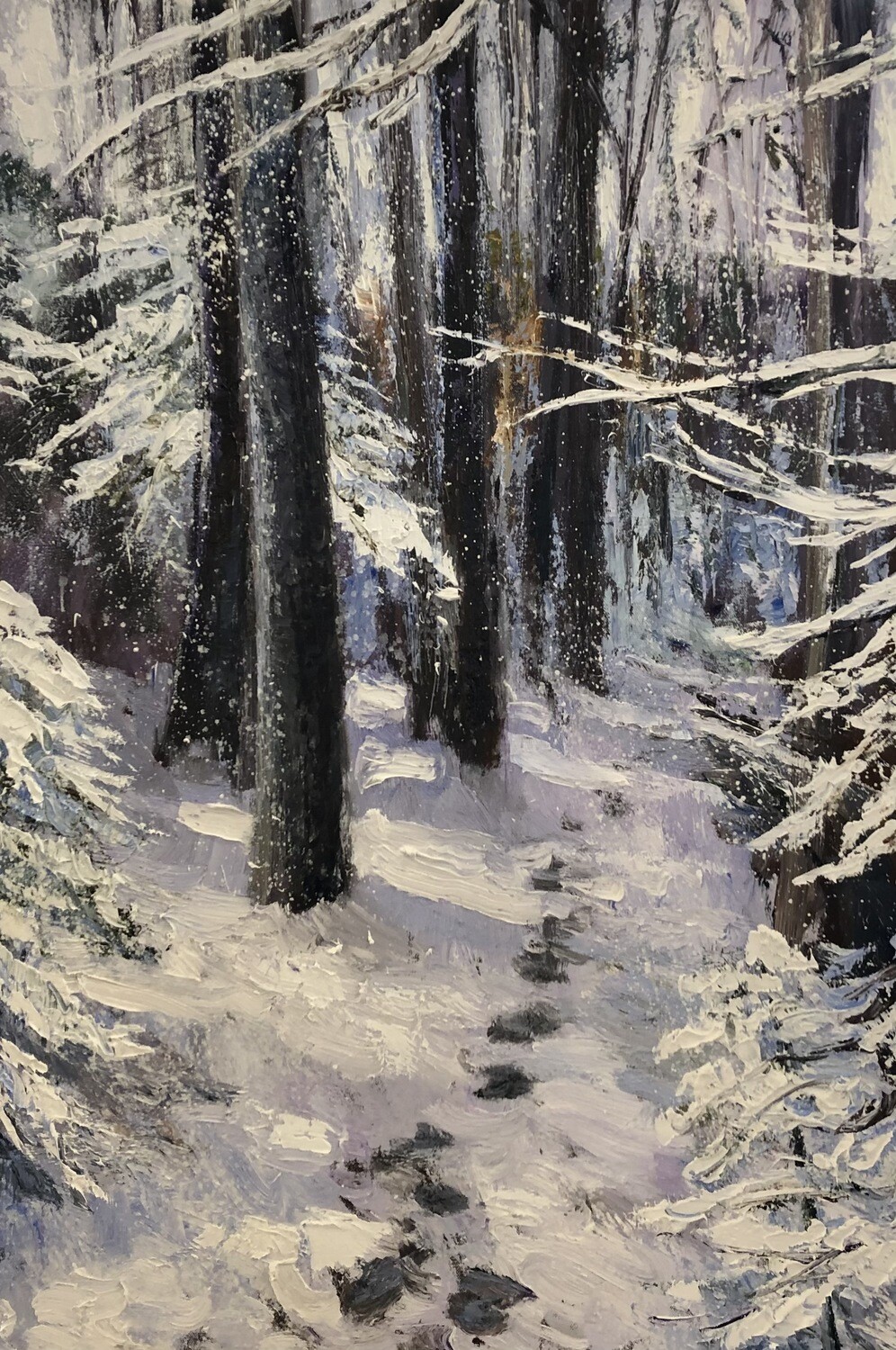Passage Through The Woods