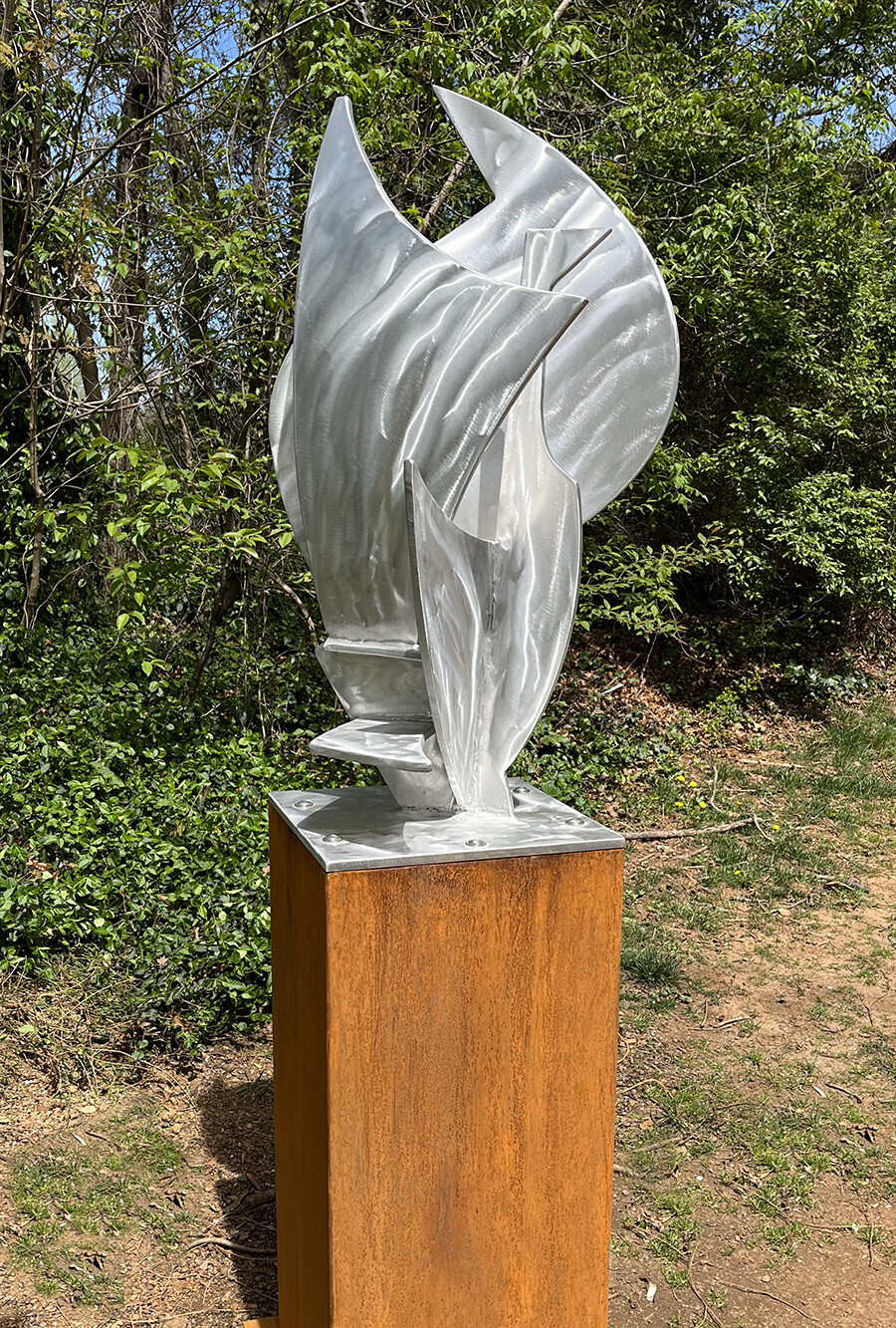 Silver Swan Silver Swan