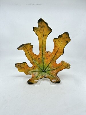 Cast Glass Fig Leaf