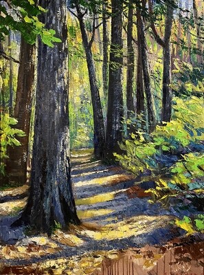Forest Trail, Morning Light