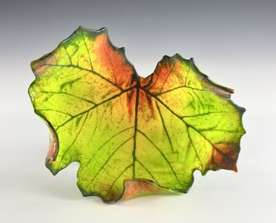 Medium Sycamore Leaf