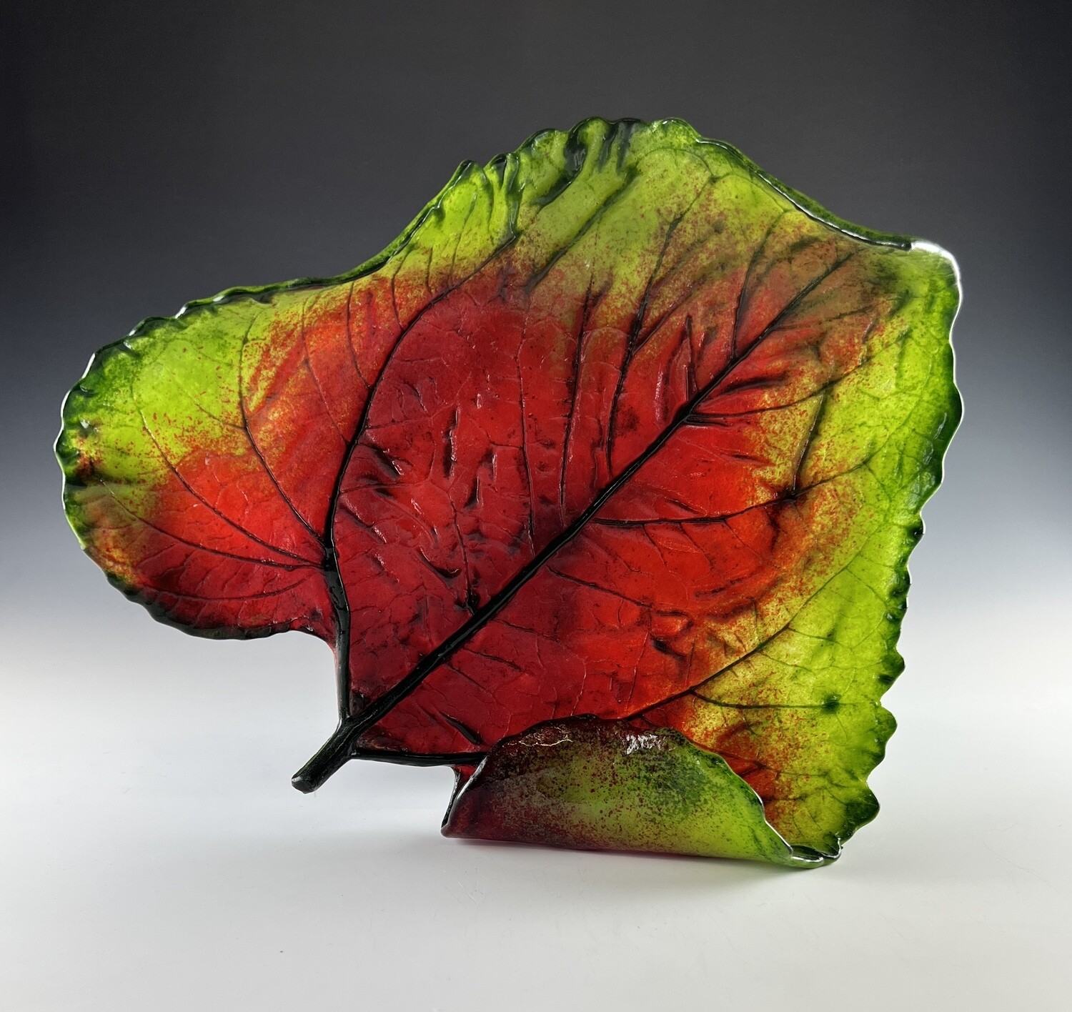 Large Sunflower Leaf