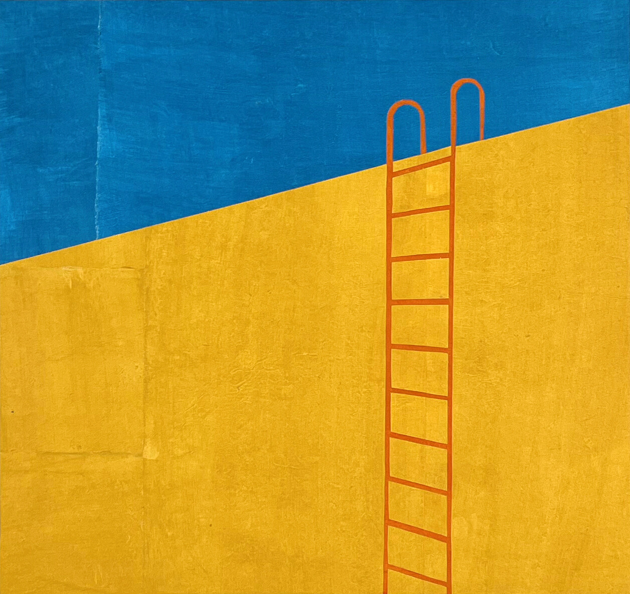 Lets Explore Our Options