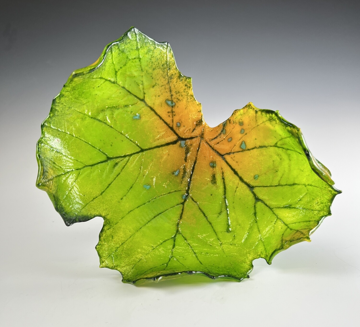 Medium Sycamore Leaf