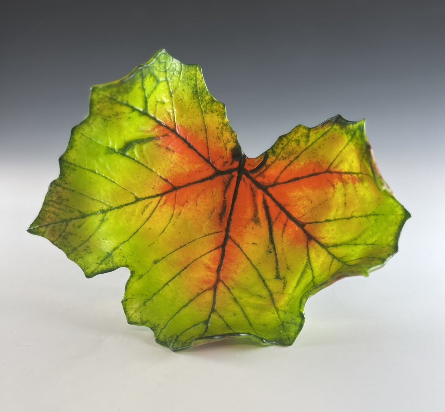 Medium Sycamore Leaf