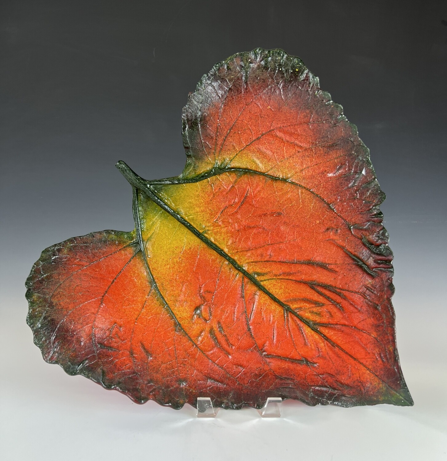 Large Sunflower Leaf