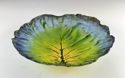 Large Cabbage Leaf