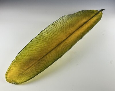 XL Banana Leaf