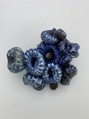 Oil Spill Coral Cluster