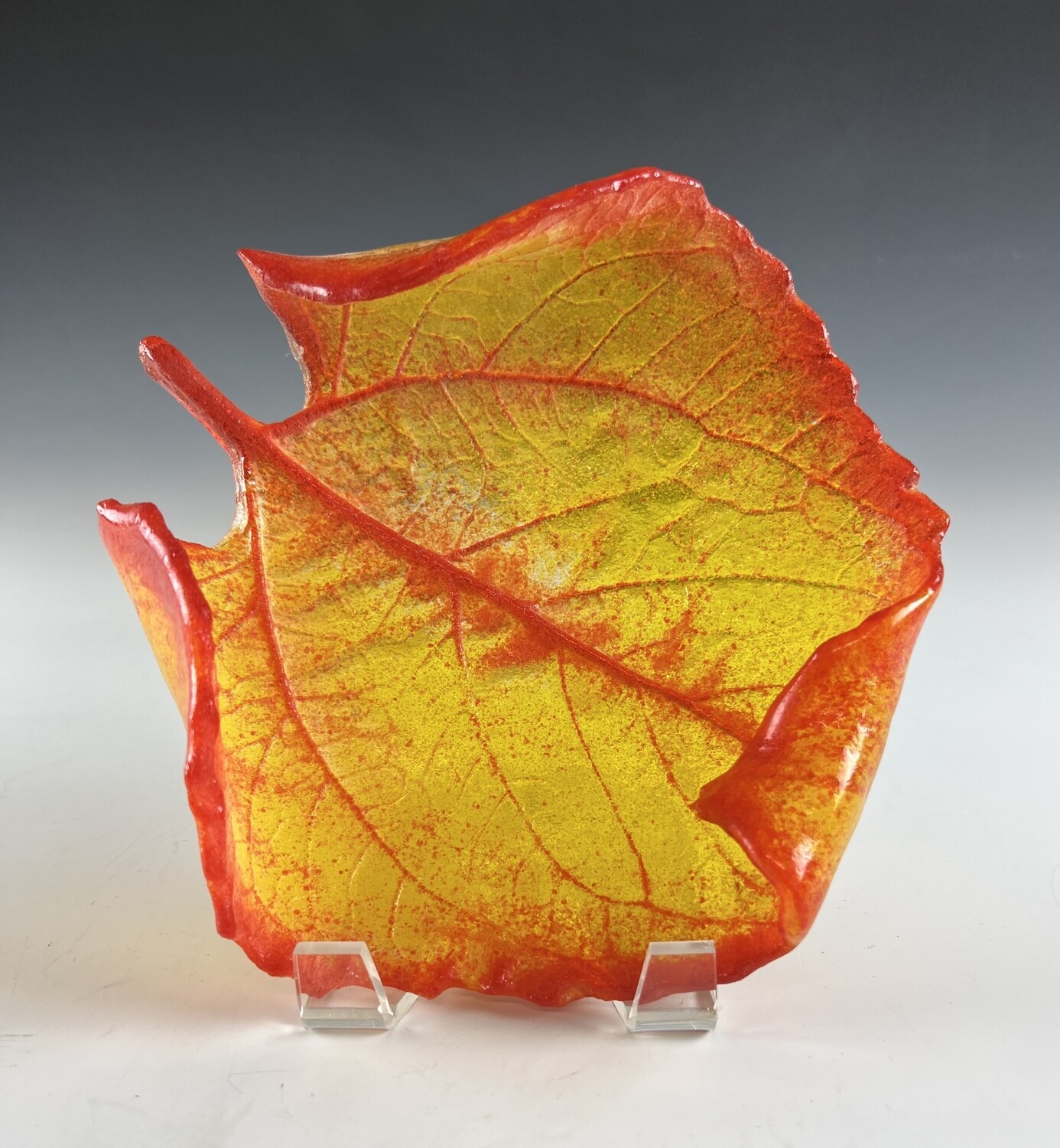 Medium Sunflower Leaf