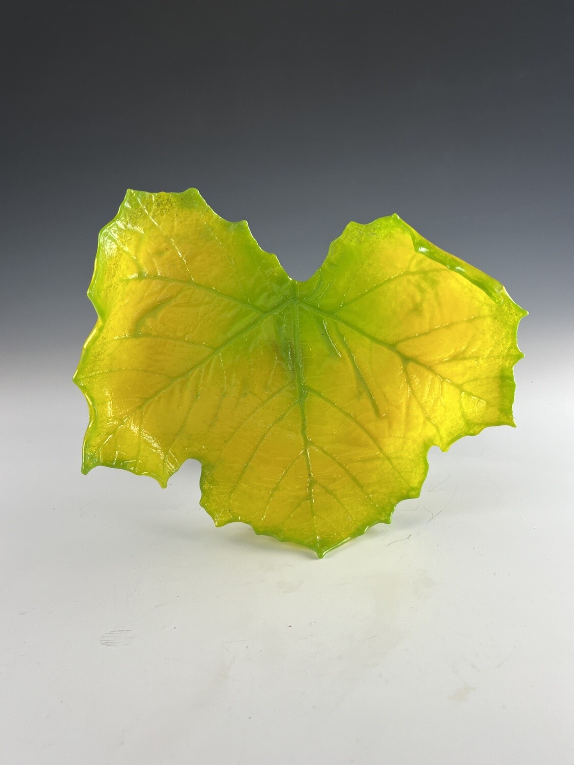 Medium Sycamore Leaf