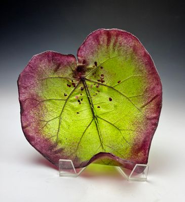 Polonia Leaf
