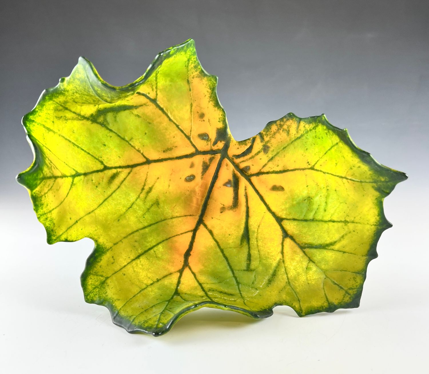 Medium Sycamore Leaf