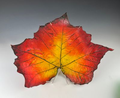 Large Sycamore Leaf