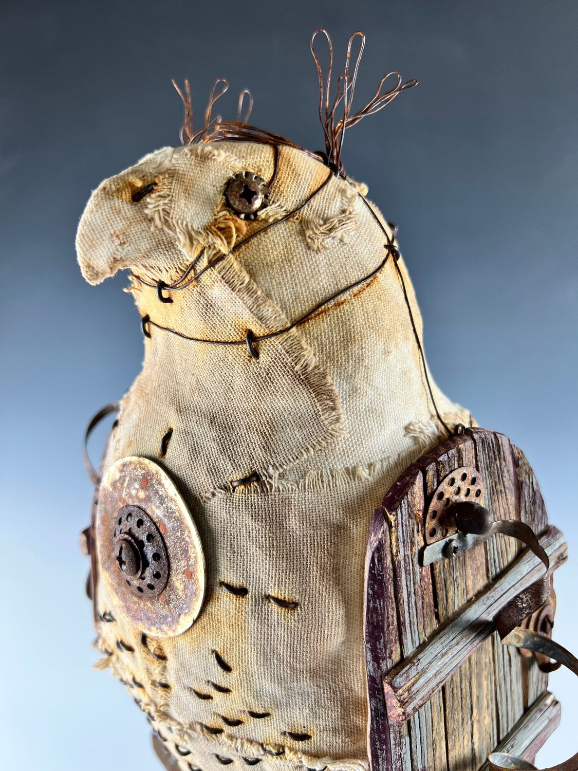 Hazel-Fierce and NOT Demure