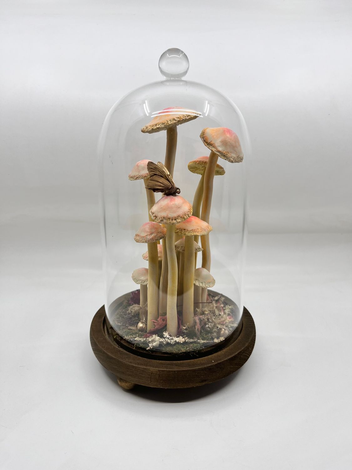 Mushroom Specimen No. 3