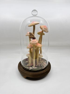 Mushroom Specimen No. 3