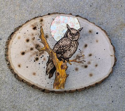 Owl