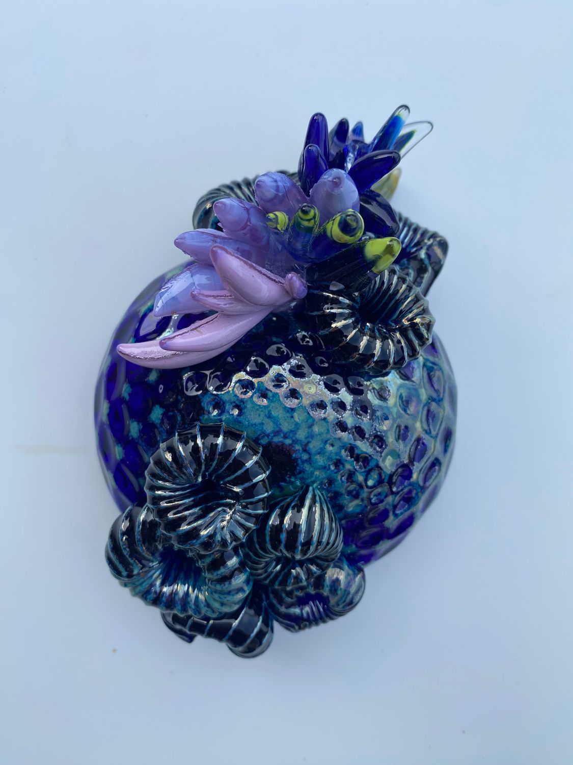 Oil Spill Coral with Anemone