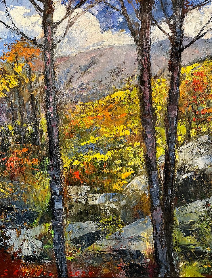 Shining Rock Wilderness