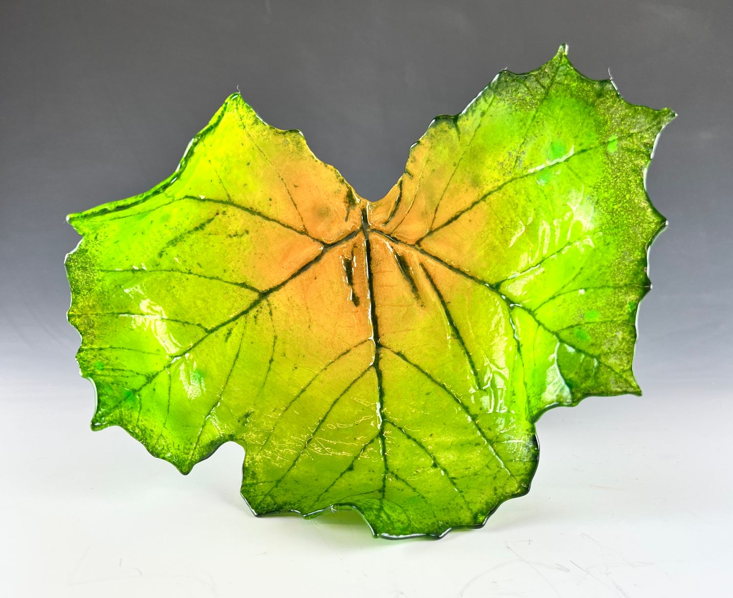 Medium Sycamore Leaf