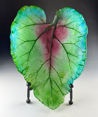 Rhubarb Leaf