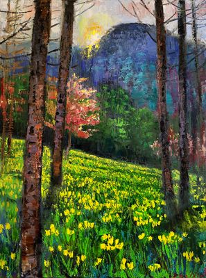 Daffodil Flats, Linville Gorge