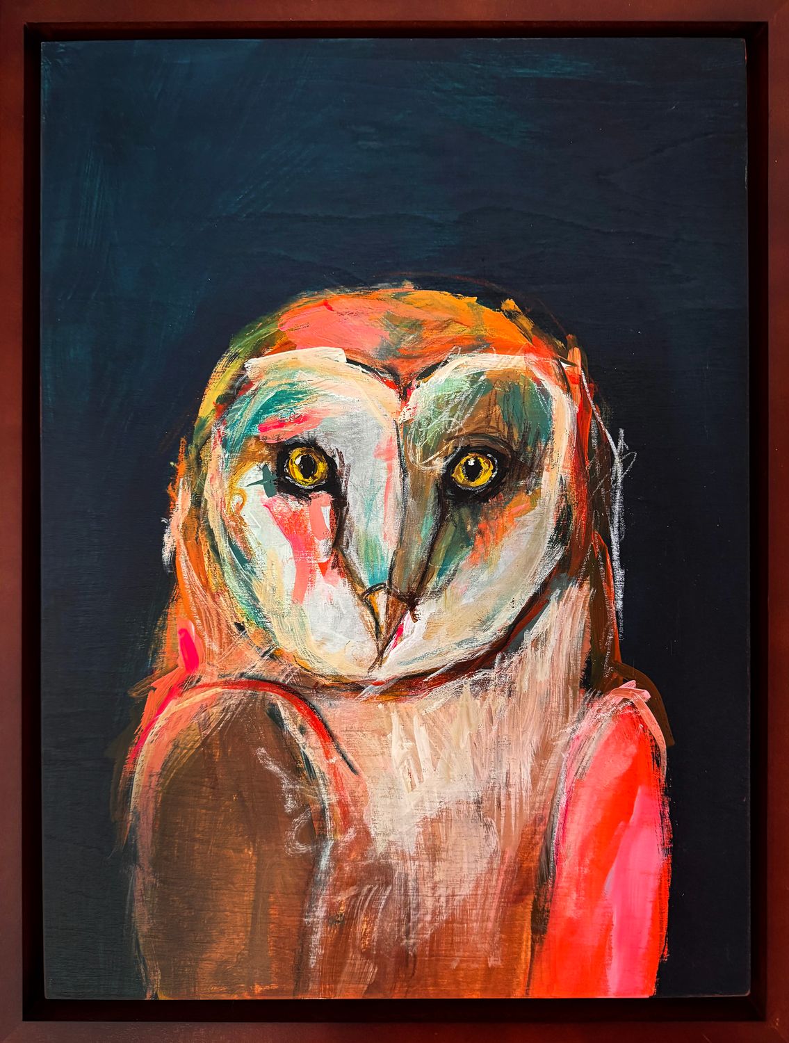 Barn Owl