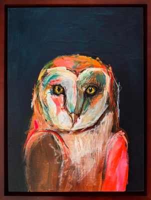 Barn Owl