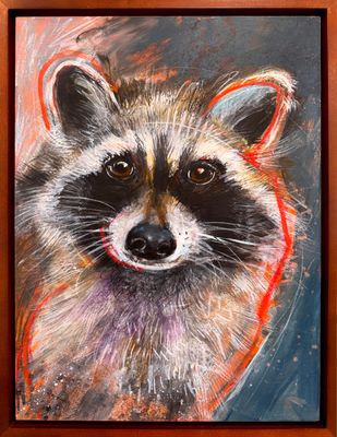 Raccoon
