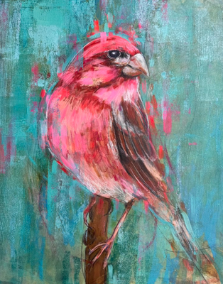 Purple Finch