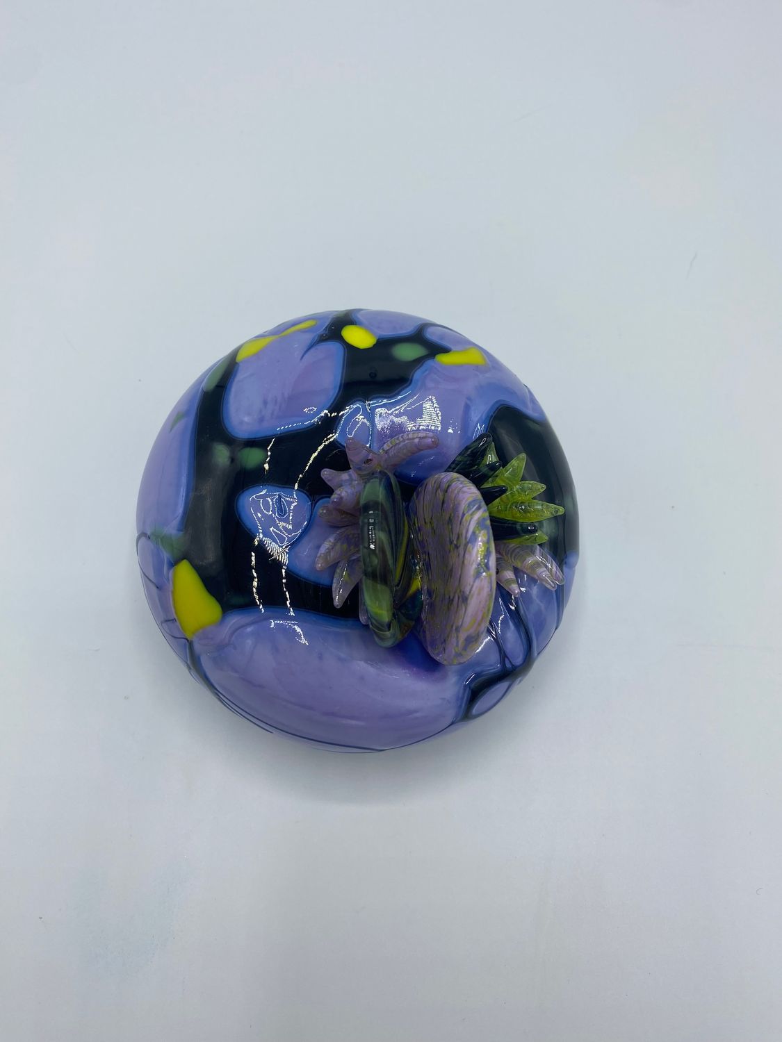 Purple Rose Anemone with Black Webbing (Medium)