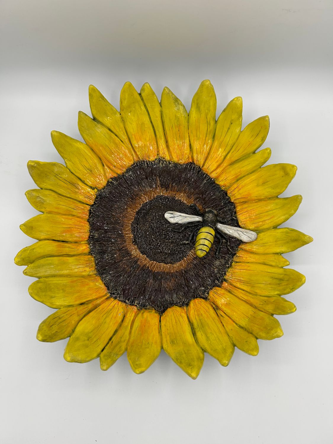 Its Sunny in Asheville