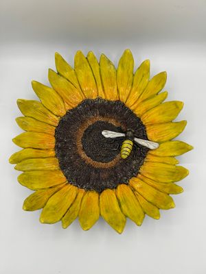 Its Sunny in Asheville