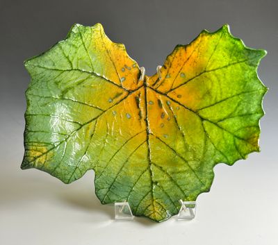Medium Sycamore Leaf