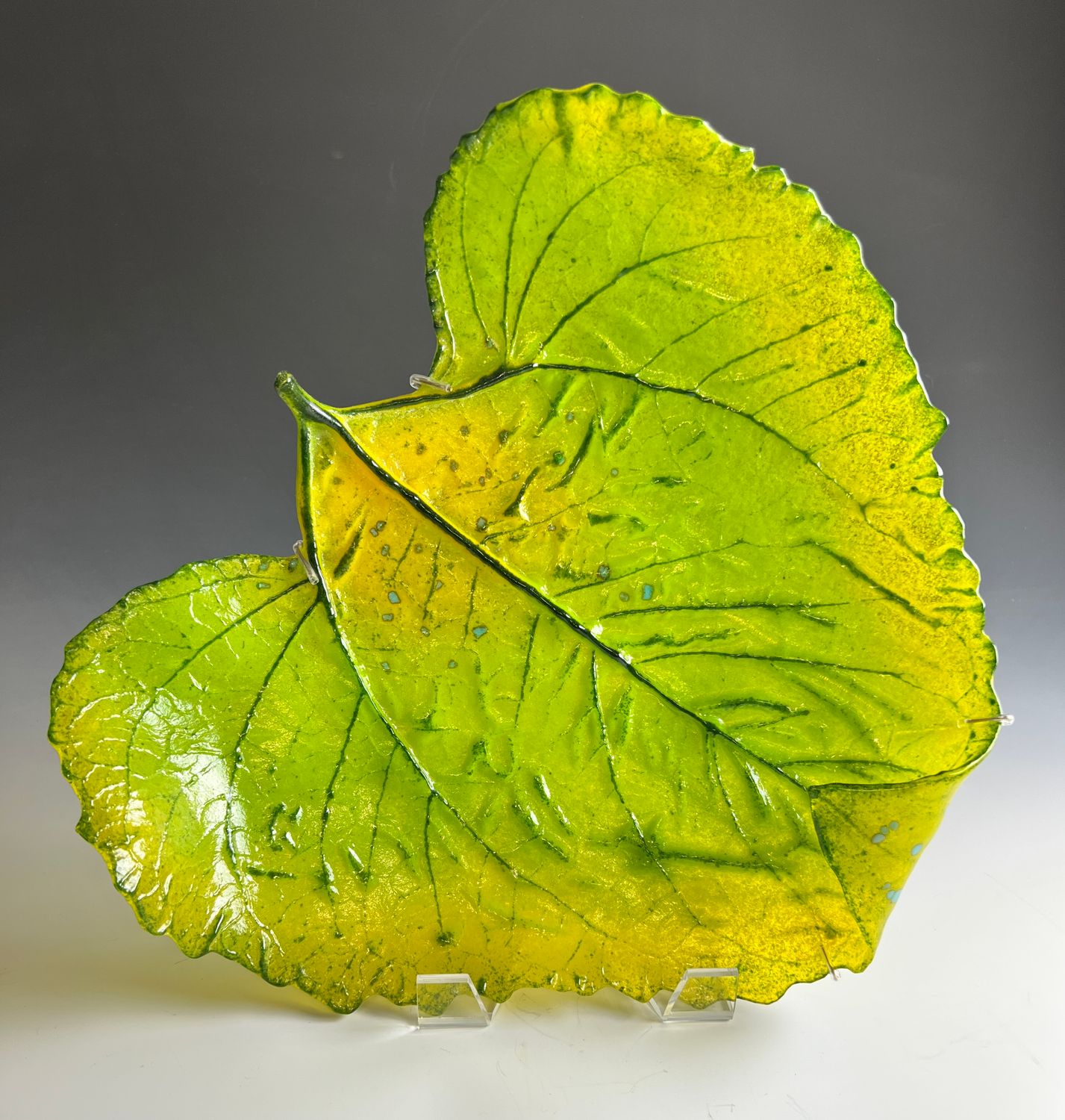 Large Sunflower Leaf