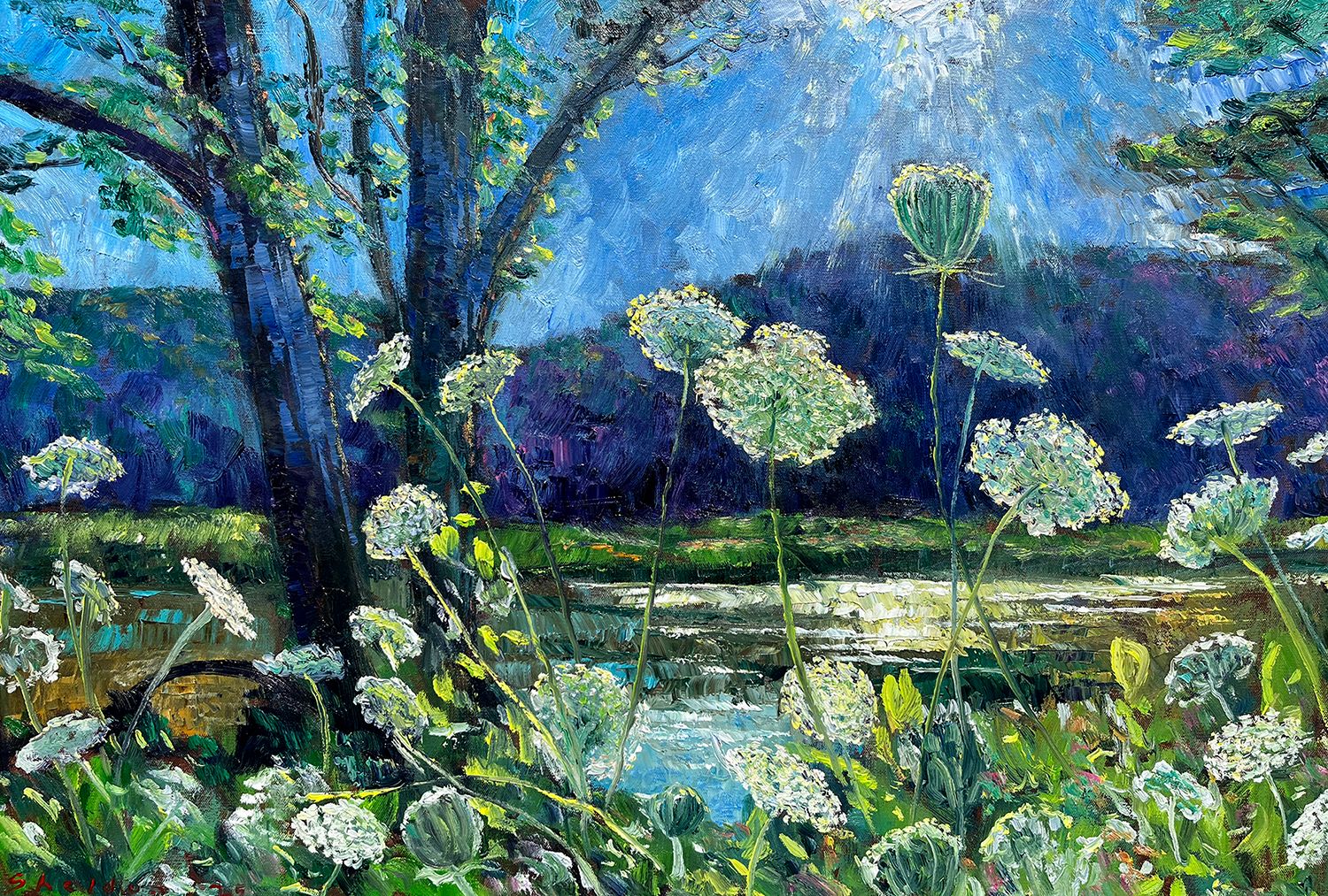 Summer Lace Along The River