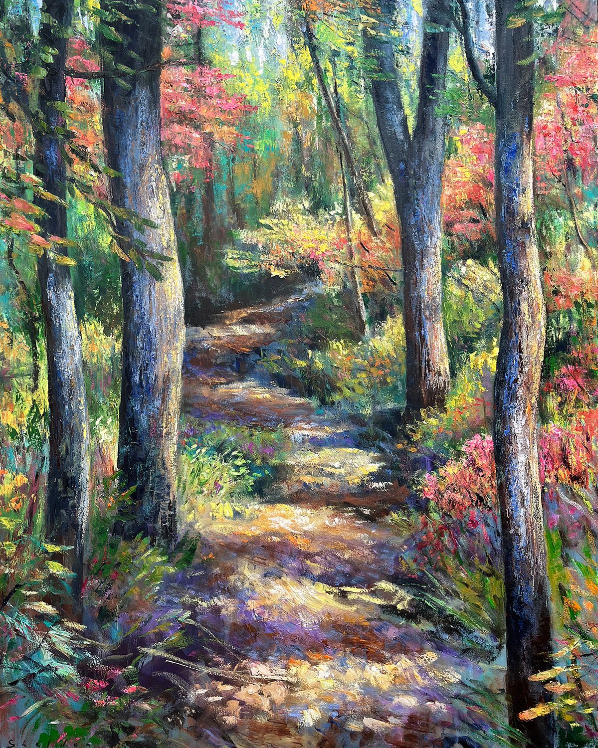 Forest Path