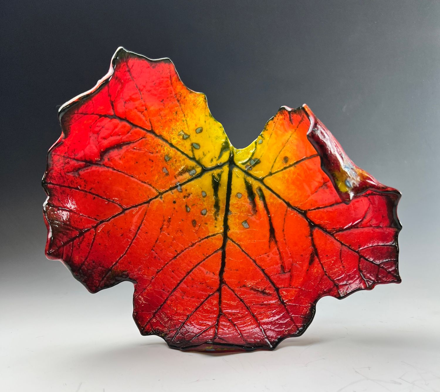 Medium Sycamore Leaf