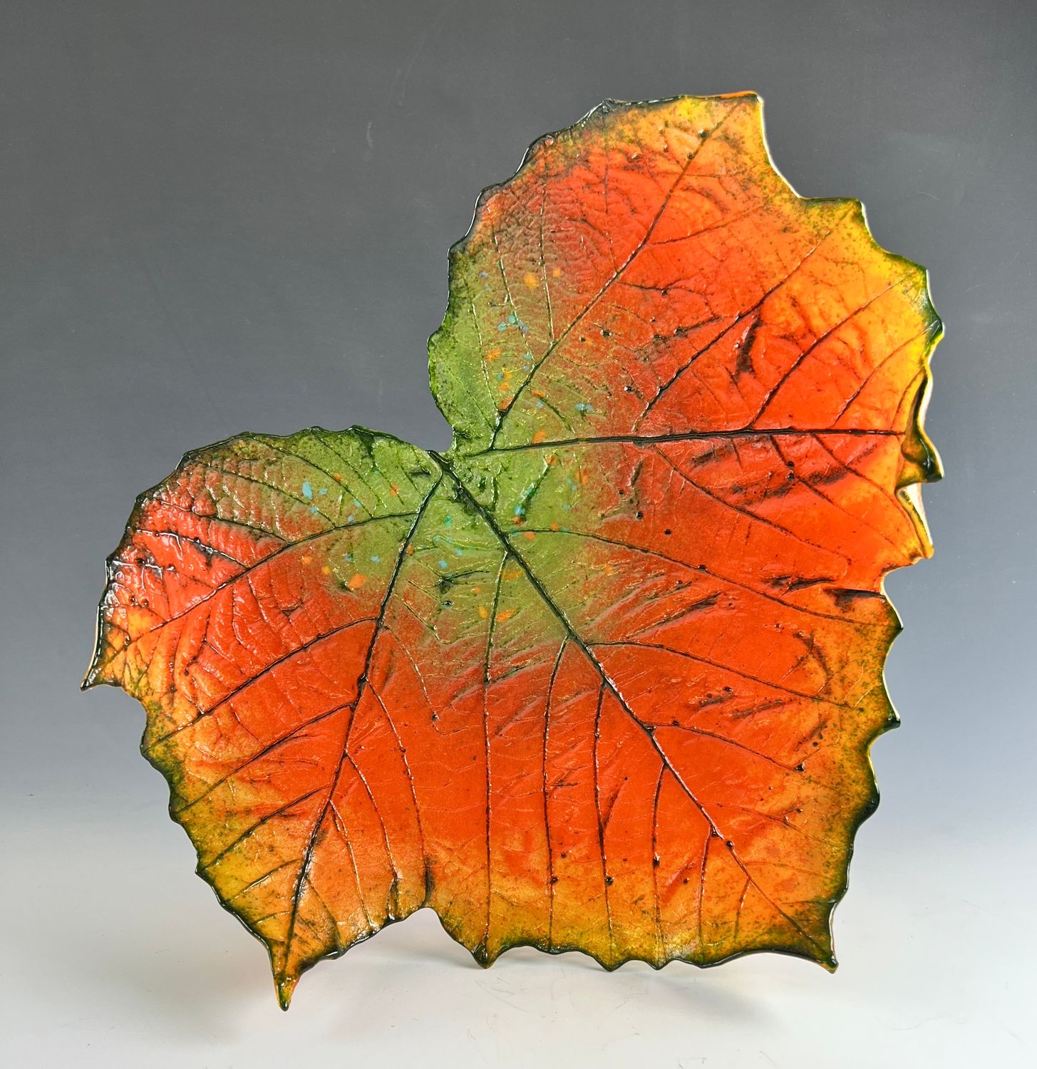 Large Sycamore Leaf