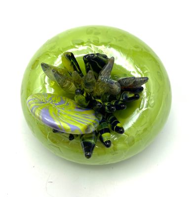 Terra Saxa in Mottled Spring Green