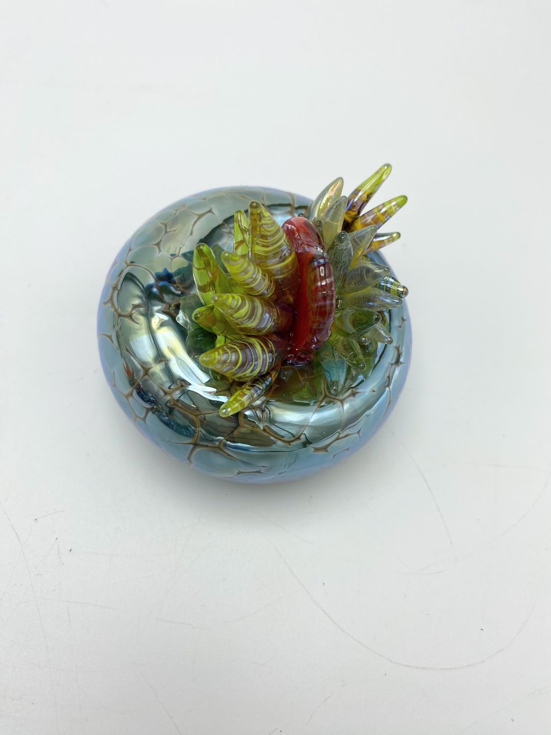 Terra Saxa Mottled Celadon Reduced